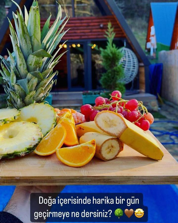 Seyyah Bungalov Sakarya  Kültér fotó